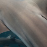 IMG_3077