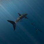 IMG_9932