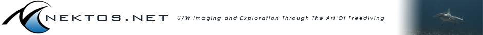 Nektos.net