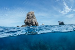 IMG_8282-1