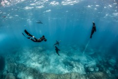 IMG_8436-1